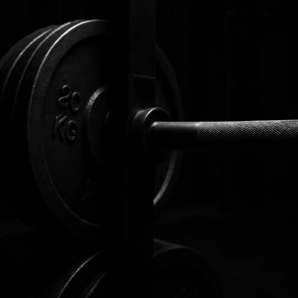 Weight plates stacked